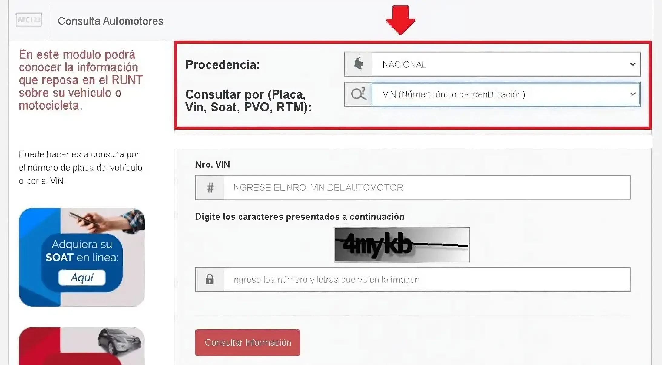 RUNT Por Placa
